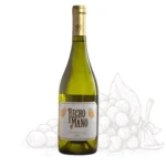 Chardonnay 2024